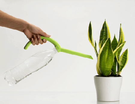 annaffiare le piante in vaso