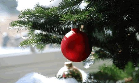 La storia dell'albero di Natale