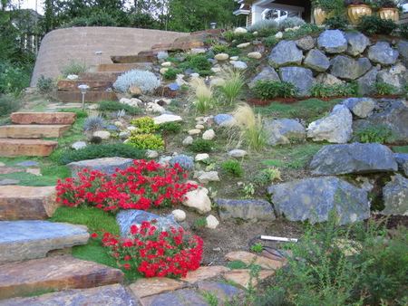 Rock Garden