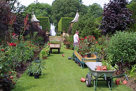 The Plantsman