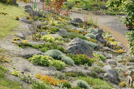 rock garden