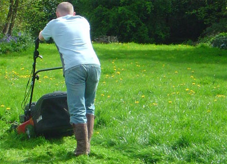 Tagliare l'erba del prato