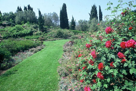 mostre di fiori