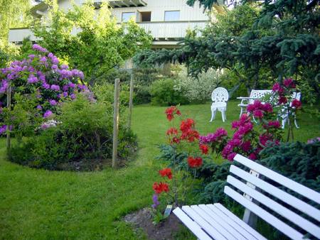 rododendri in giardino