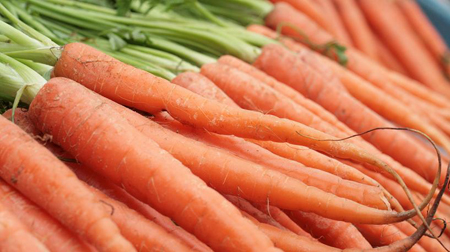 Come coltivare le carote in vaso