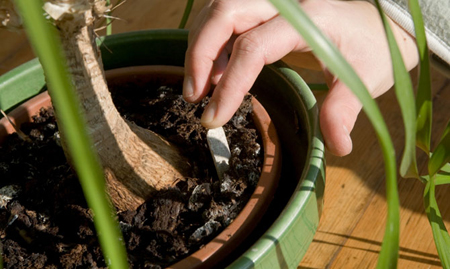 fertilizzanti per piante in vaso