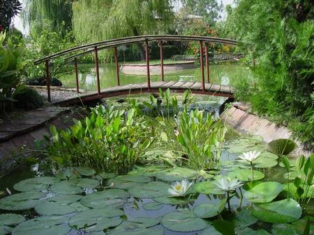 laghetto da giardino