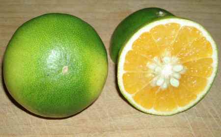 Mandarini, le varietà principali