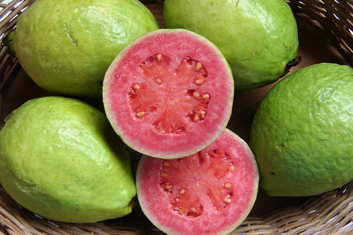 Piante da frutto: la Guava