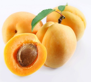 Apricot