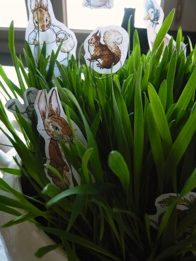 Decorazioni di Pasqua, un centrotavola di erba gatta