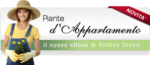 Pollicegreen presenta l'eBook: "Guida alle piante da appartamento"