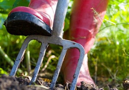 lavori orto giardino maggio