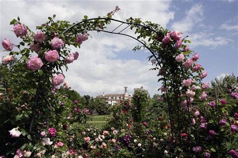 franciacorta-in-fiore