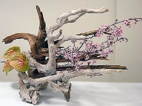 Ikebana, l'arte della composizione dei fiori