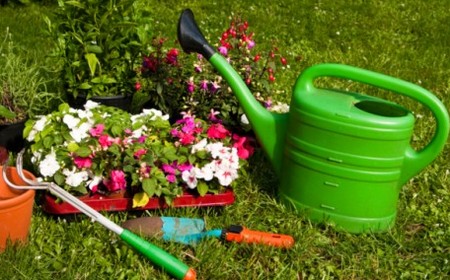 lavori orto giardino