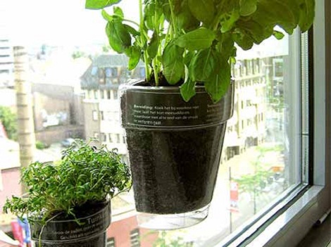Windowherbs, le piante...da finestra