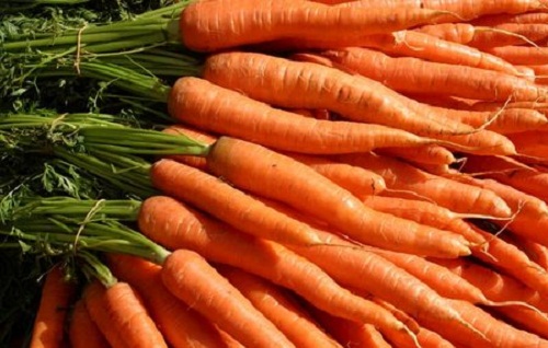 Semine di settembre: la carota
