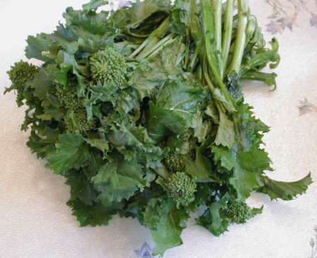 cime di rapa