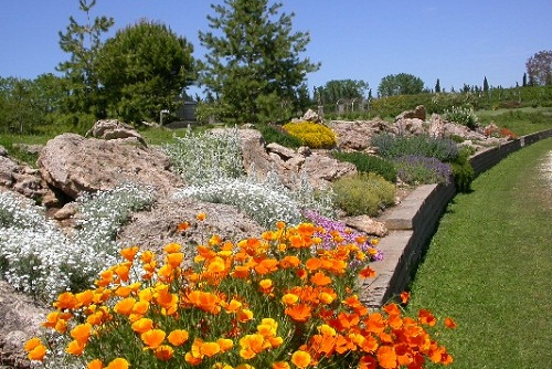 giardino roccioso