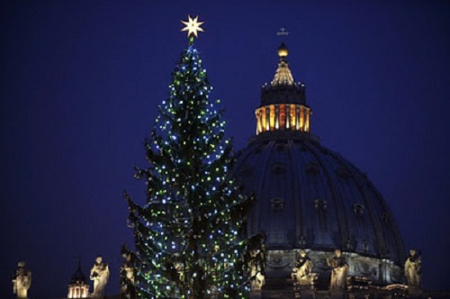 albero  natale piazza san pietro