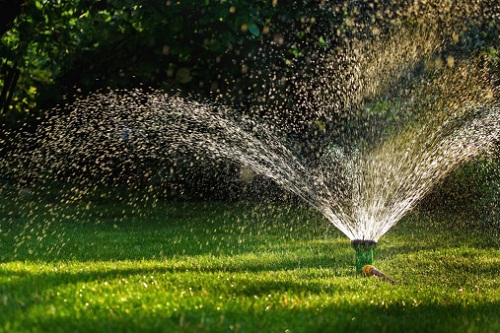 Irrigazione del giardino: partiamo dalle basi