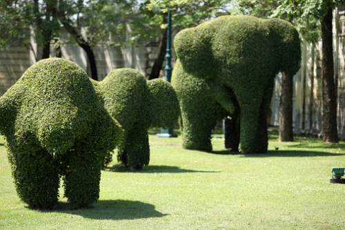 arredare giardino composizioni arte topiaria