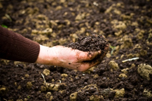 lavori marzo utilizzo compost orto