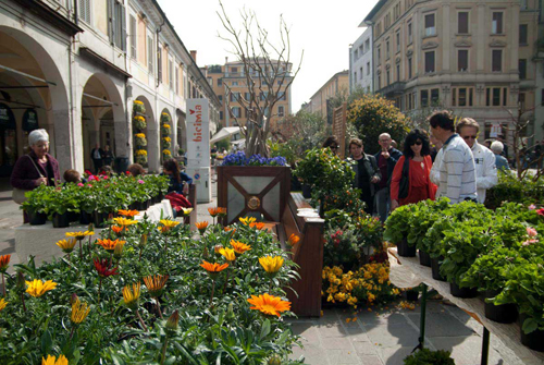 brixia florum brescia