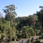 Orto Botanico Reggia di Portici