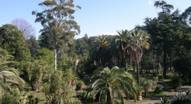 Orto Botanico Reggia di Portici