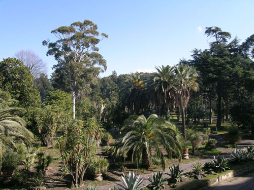 Orto Botanico Reggia di Portici