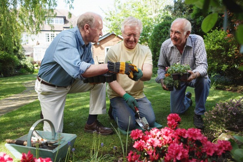 lavori agosto punto situazione giardino