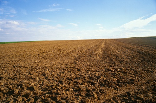 semine settembre orto prepariamo terreno