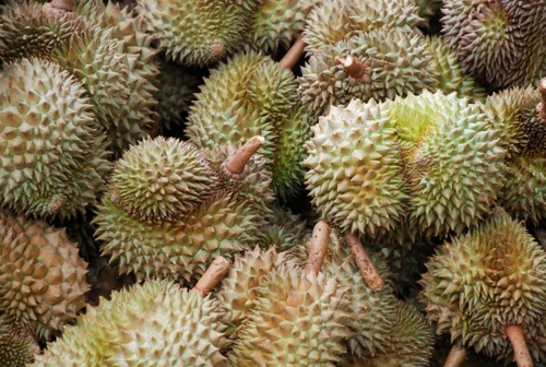 durian