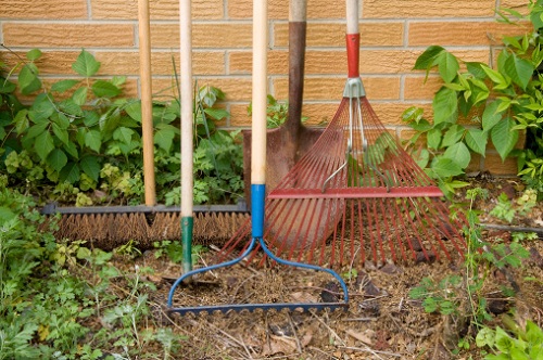 lavori settembre giardino punto situazione