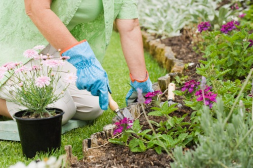 lavori ottobre giardino punto situazione