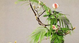 composizioni floreali classiche ikebana milano