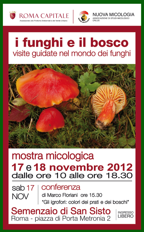 Mostra micologica “I funghi e il bosco", sabato 17 e domenica 18 a Roma