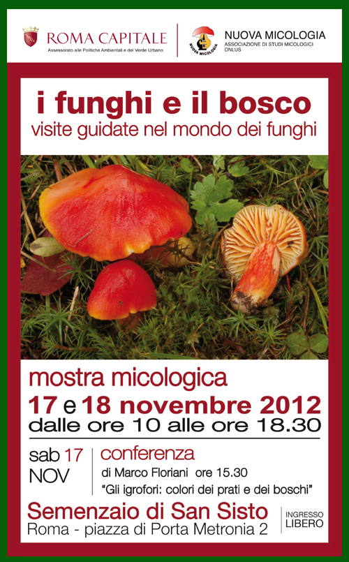 mostra micologia roma