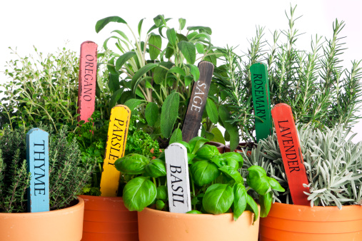 orto sul balcone raccolta erbe aromatiche