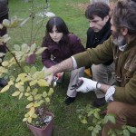 corso potatura castello quistini 17 febbraio