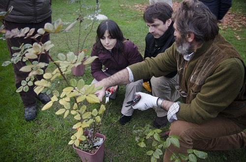 corso potatura castello quistini 17 febbraio