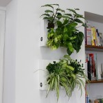 arredare appartamento piante quadri vegetali