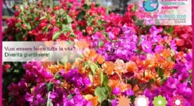 perugia flower show torna 24 maggio