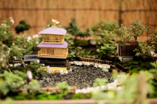 Giardini in miniatura: una nuova moda
