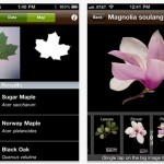 leafsnap app riconosce foglie