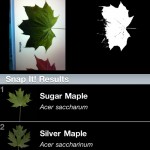 leafsnap app riconosce foglie