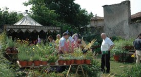 giardinaria nuova mostra mercato franciacorta