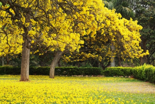 parchi e giardini pasqua e pasquetta